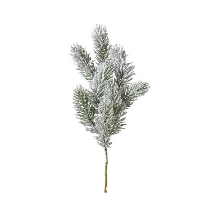 RAMO PINO X9 CM.46 INNEVATO